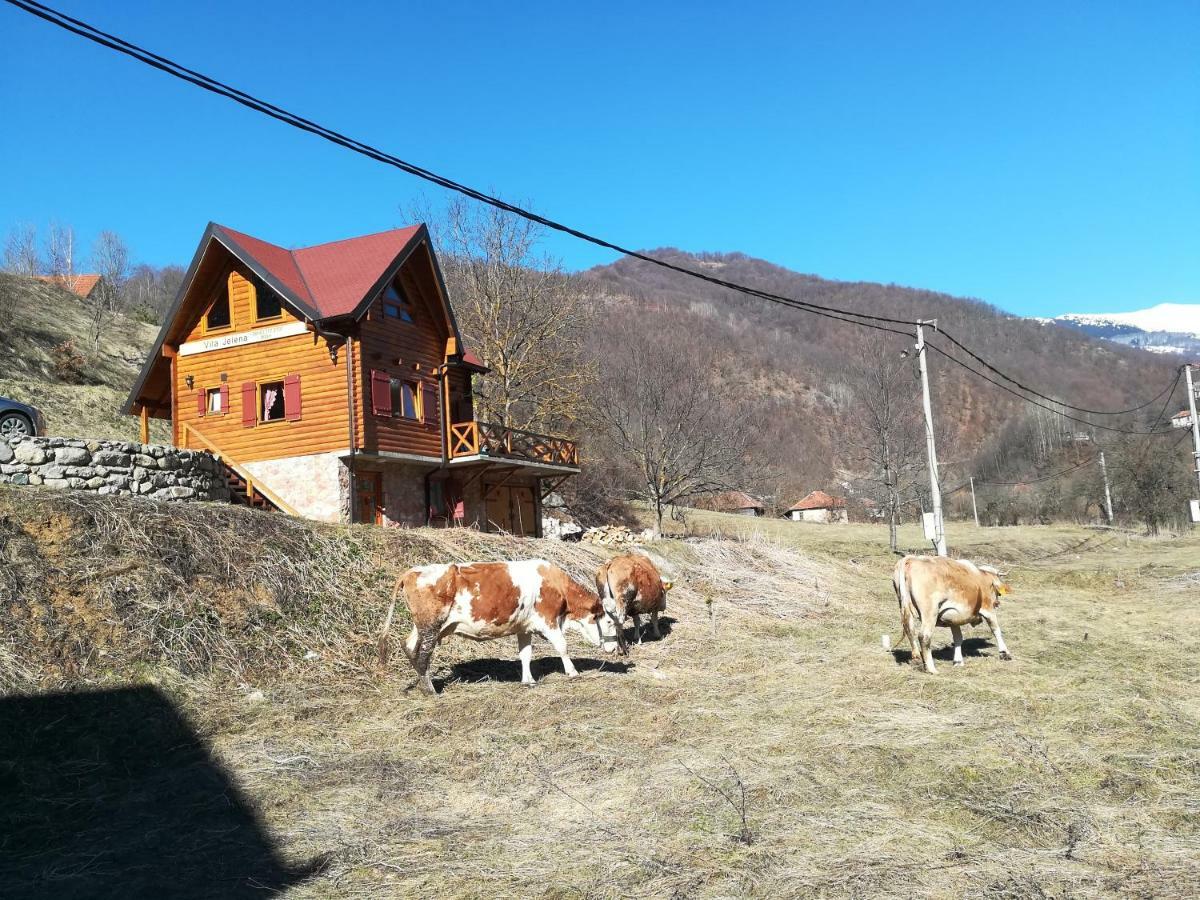 Vila Jelena Crni Vrh Exterior foto